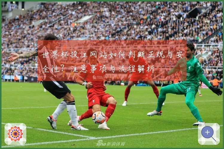 世界杯投注网站如何判断正规与安全性？注意事项与流程解析