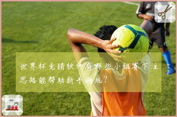 世界杯竞猜软件有哪些小组赛下注思路能帮助新手避坑？