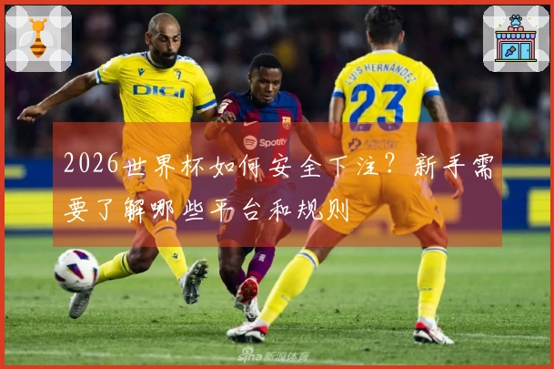 2026世界杯如何安全下注？新手需要了解哪些平台和规则