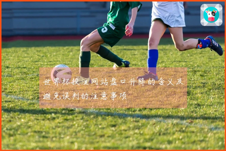 世界杯投注网站盘口升降的含义及避免误判的注意事项