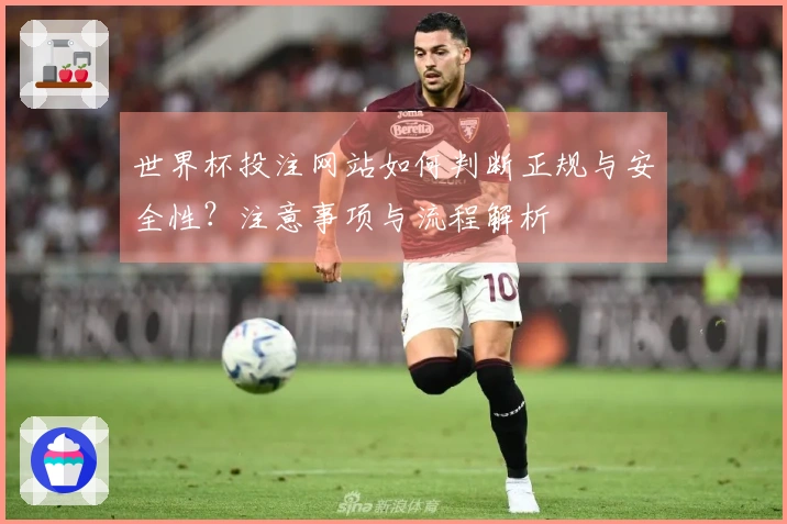 世界杯投注网站如何判断正规与安全性？注意事项与流程解析