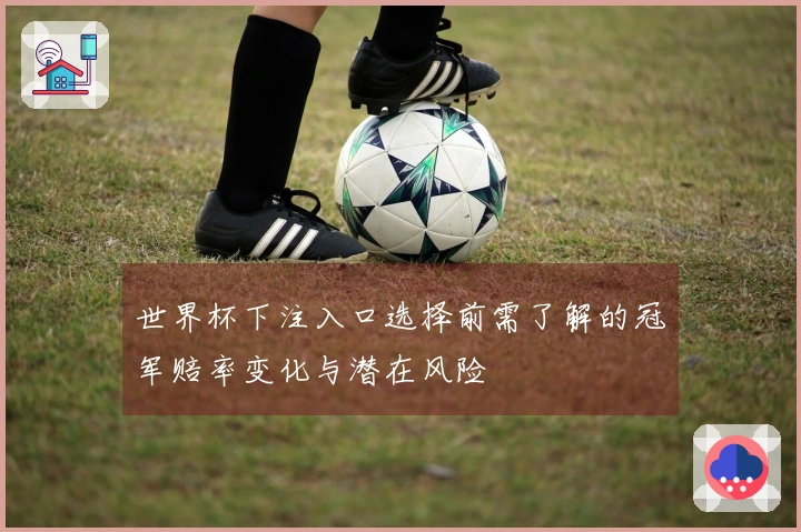 世界杯下注入口选择前需了解的冠军赔率变化与潜在风险